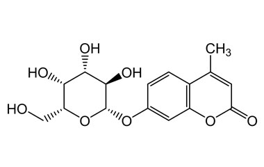 PA PHY 004475