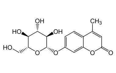 PA PHY 004476