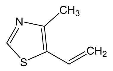 PA PHY 004478