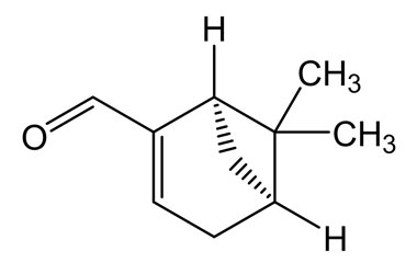 PA PHY 004490