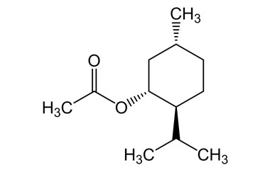 PA PHY 004496