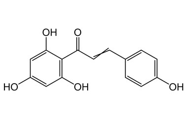 PA PHY 004504