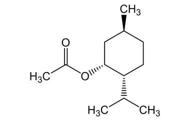 PA PHY 004513