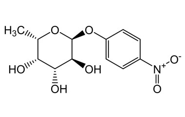 PA PHY 004522