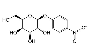 PA PHY 004524