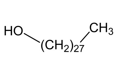 PA PHY 004538