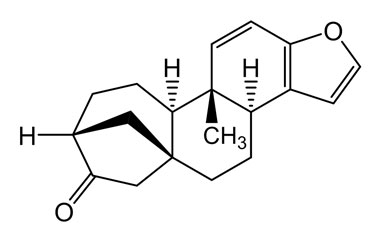 PA PHY 004567