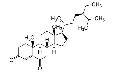 PA PHY 004568