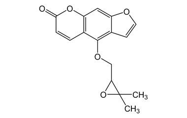 PA PHY 004570