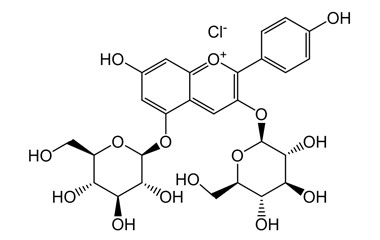 PA PHY 004584