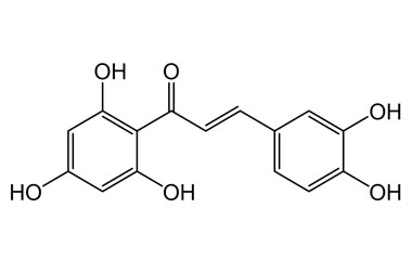 PA PHY 004588