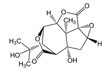 PA PHY 004595