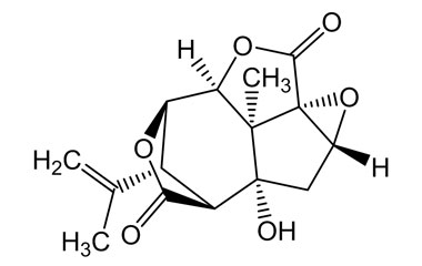 PA PHY 004597