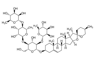 PA PHY 004598