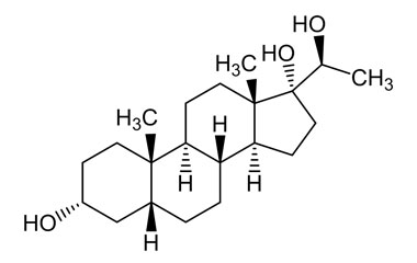 PA PHY 004599