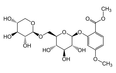 PA PHY 004601