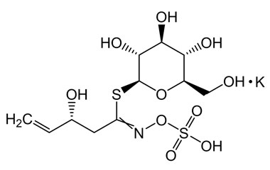 PA PHY 004607