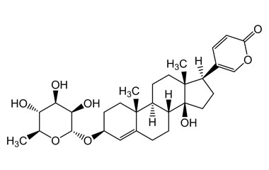 PA PHY 004611