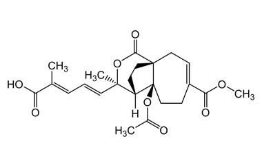 PA PHY 004617