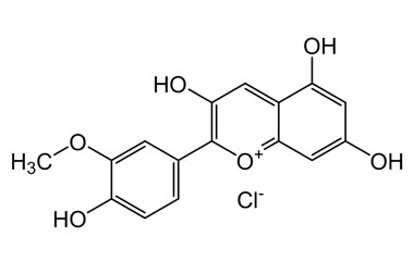 PA PHY 004619