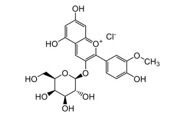 PA PHY 004620