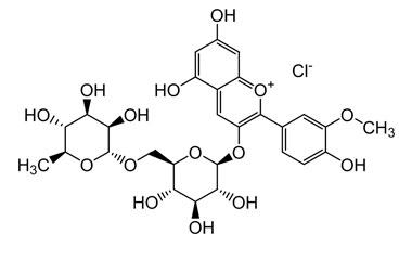 PA PHY 004621