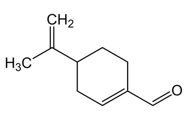 PA PHY 004622