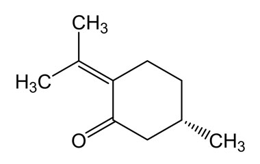 PA PHY 004624