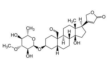 PA PHY 004625