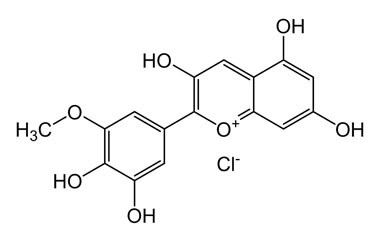 PA PHY 004626