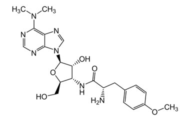 PA PHY 004628