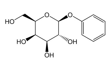 PA PHY 004635