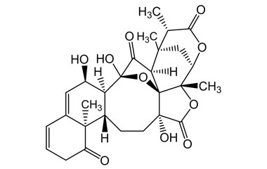 PA PHY 004650