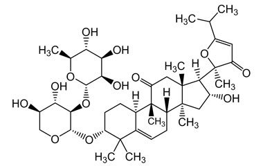 PA PHY 004652