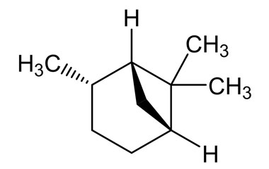 PA PHY 004653