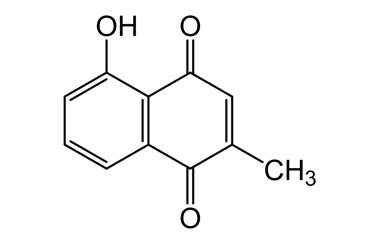 PA PHY 004660