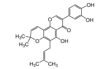 PA PHY 004663