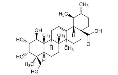 PA PHY 004665