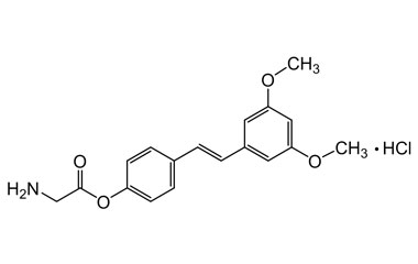 PA PHY 004667