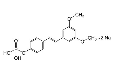 PA PHY 004668