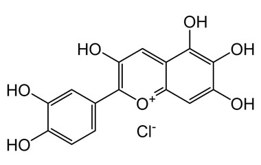 PA PHY 004671