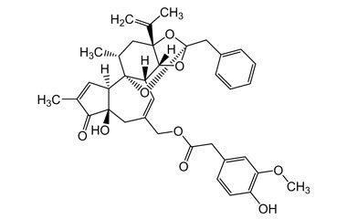 PA PHY 004681