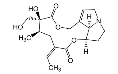 PA PHY 004682