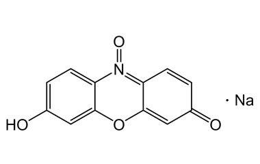 PA PHY 004683