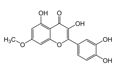 PA PHY 004684