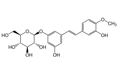 PA PHY 004686