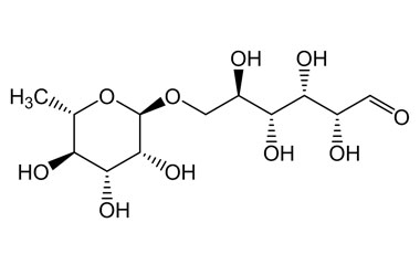 PA PHY 004705