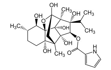 PA PHY 004707