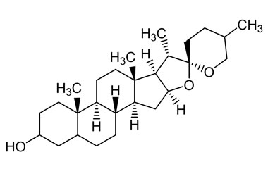 PA PHY 004717