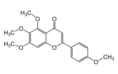 PA PHY 004720